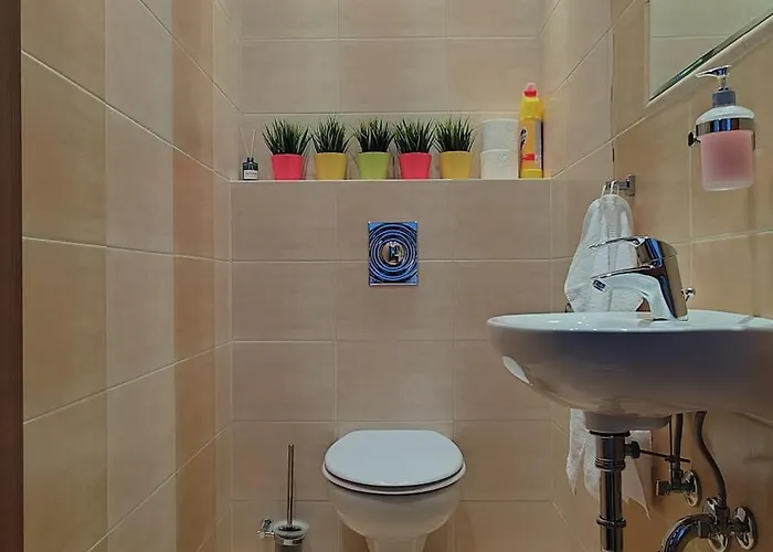 Comfort & Sunny Apartman *